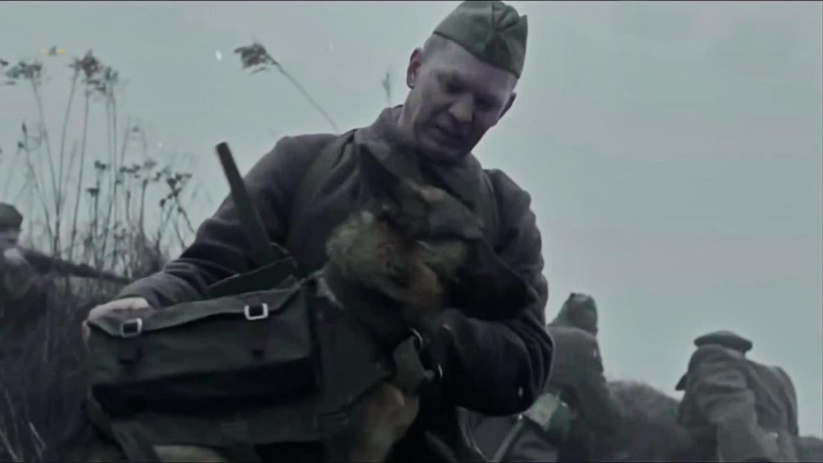 The War Dog The War Dog