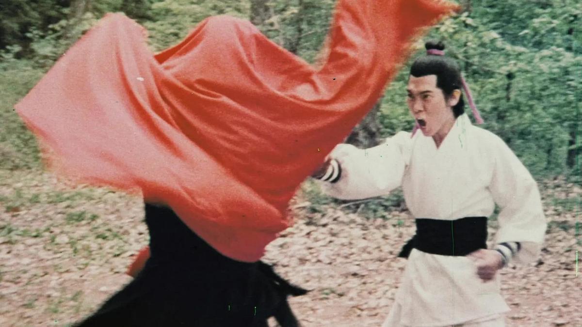 Die Silberfaust der Shaolin Die Silberfaust der Shaolin