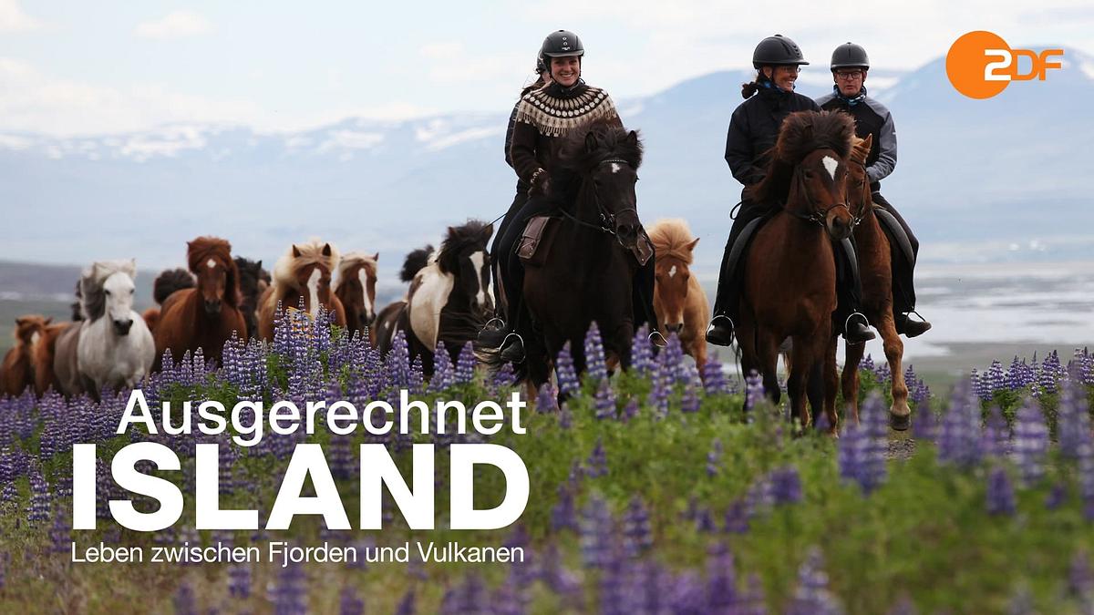 Ausgerechnet Island - Leben zwischen Fjorden und Vulkanen Ausgerechnet Island - Leben zwischen Fjorden und Vulkanen