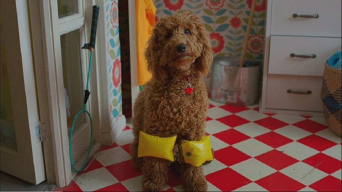 Wuffel, der Wunderhund Wuffel, der Wunderhund