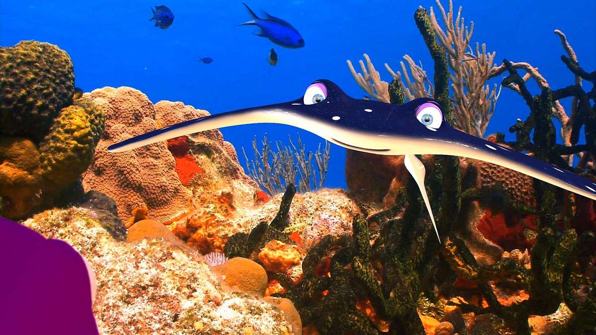 Fishtales - Fakten über Meerestiere Fishtales - Fakten über Meerestiere