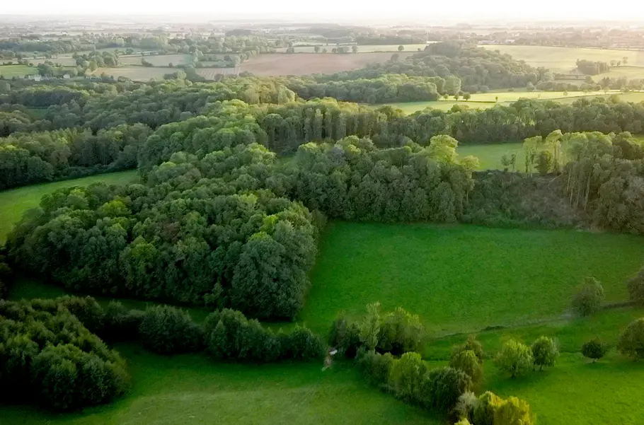 Pakt mit der Natur