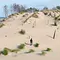 Pakt mit der Natur Thumbnail