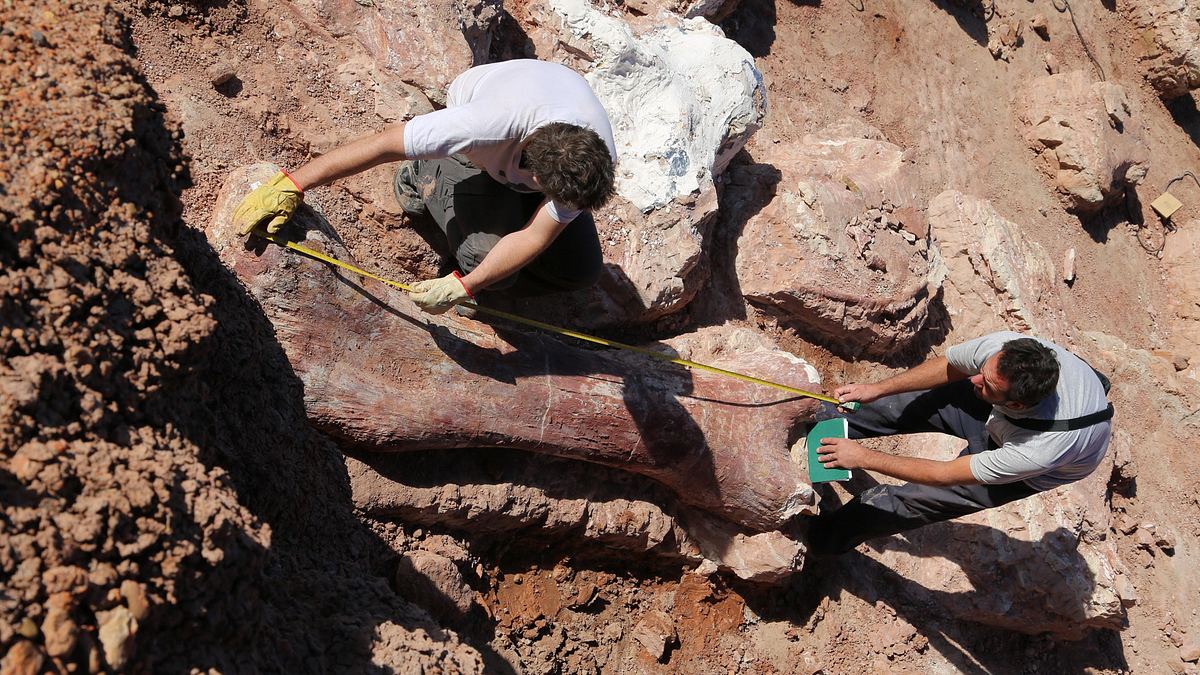 Die Entdeckung der Riesensaurier Die Entdeckung der Riesensaurier