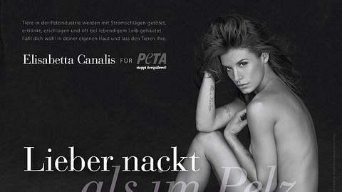 Elisabetta Canalis nackt - Foto: PETA