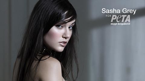 Sasha Grey nackt - Foto: PETA