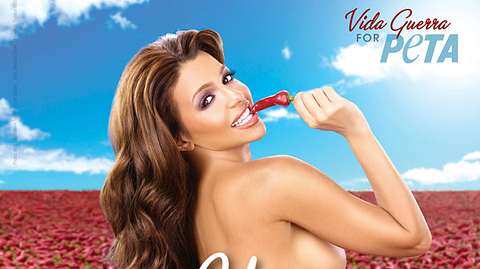 Vida Guerra nackt - Foto: PETA