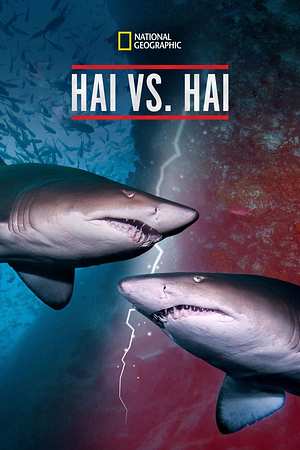 Hai vs. Hai - Foto: TMDB