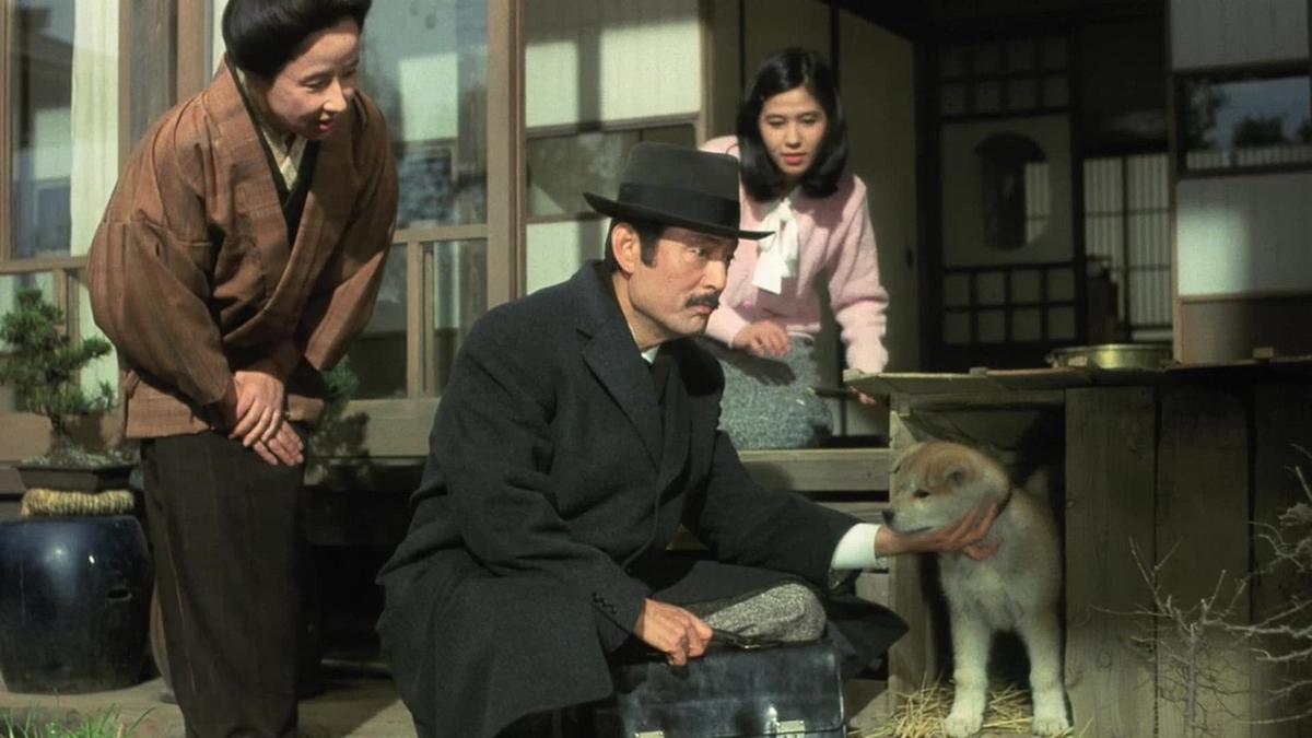 Hachiko - Wahre Freundschaft währt ewig Hachiko - Wahre Freundschaft währt ewig