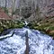Pielach - Im Garten der Voralpen Thumbnail