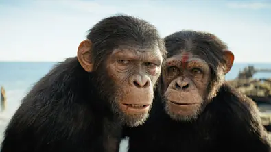 Affe Noah aus „New Kingdom“ umarmt einen anderen Affen. - Foto: IMAGO / Landmark Media