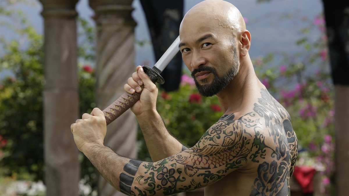 Falcon Rising Falcon Rising