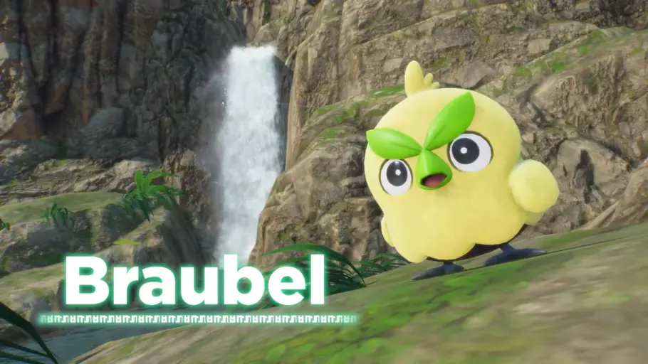 Braubel