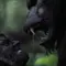 Primal Rage: The Legend of Oh-Mah Thumbnail