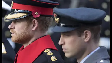 Prinz William und Harry schauen ernst in die Ferne - Foto: IMAGO / i Images