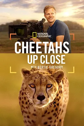 Cheetahs Up Close with Bertie Gregory - Foto: TMDB
