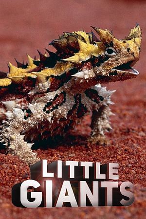 Little Giants – Kleine Tiere ganz groß - Foto: TMDB