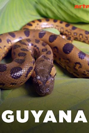 Guyana - Foto: TMDB