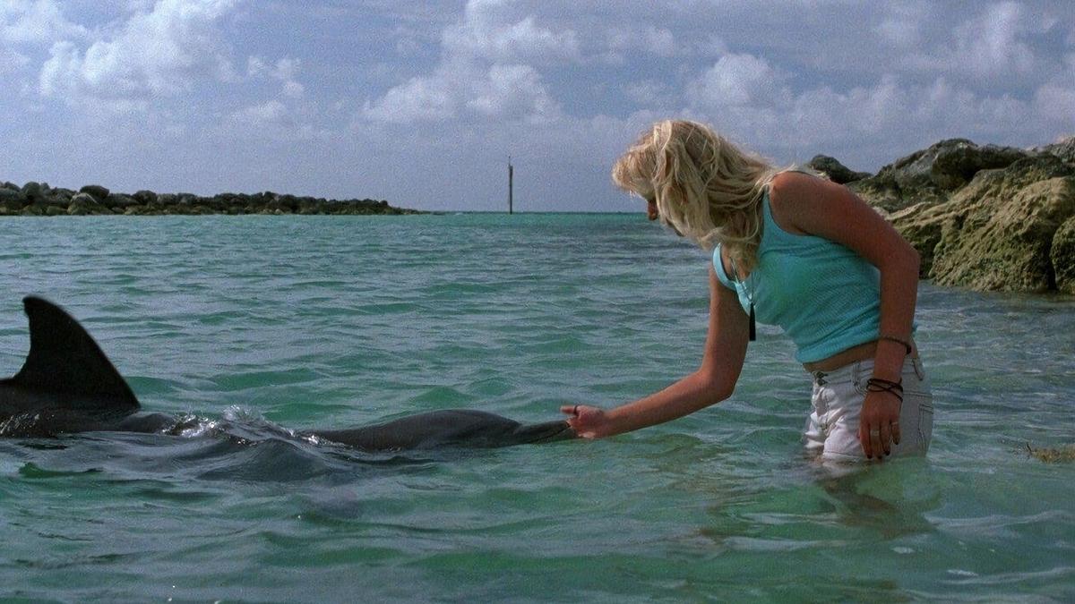 Die Delfinflüsterin