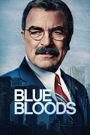Blue Bloods: Crime Scene New York - Foto: TMDB