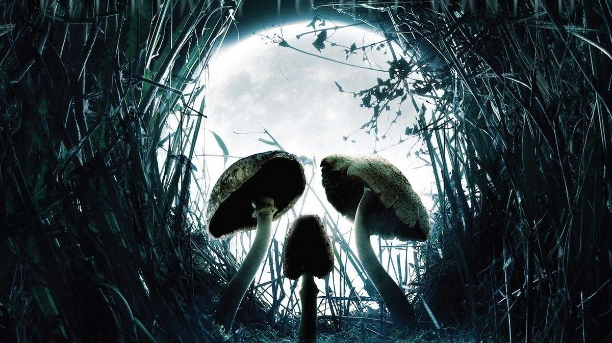 Shrooms – Im Rausch des Todes Shrooms – Im Rausch des Todes