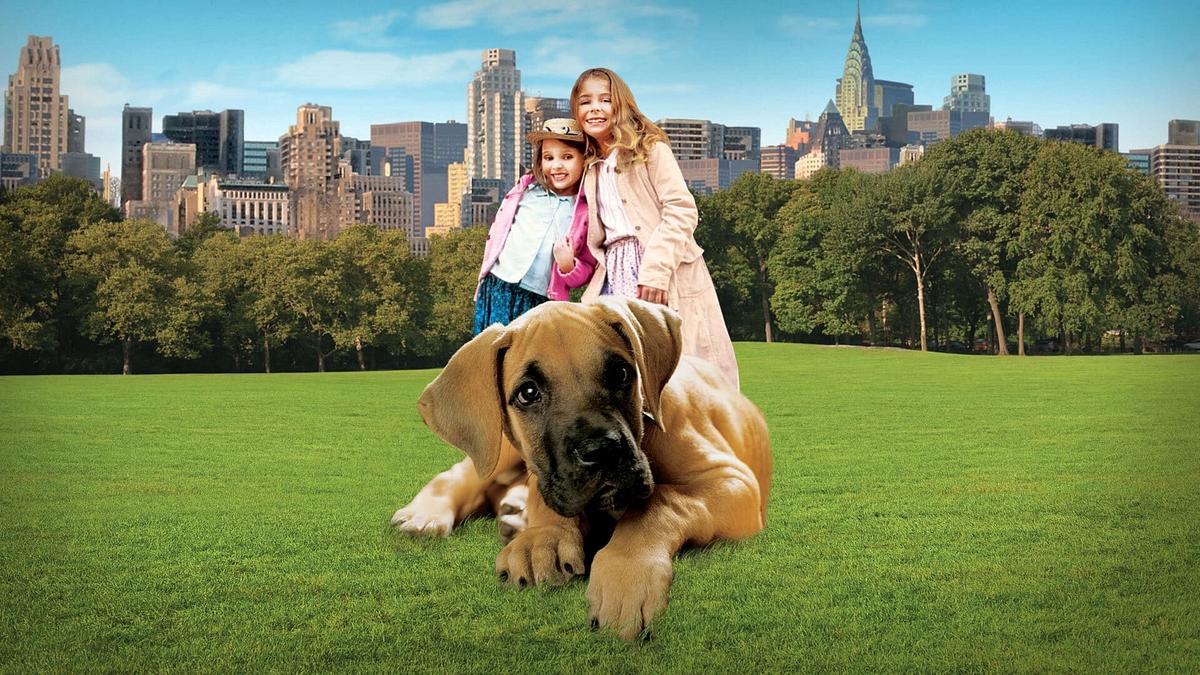 Chestnut: Der Held vom Central Park Chestnut: Der Held vom Central Park