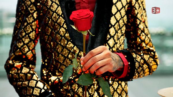 Der Bachelor hält eine Rose in der Hand - Foto: CH Media