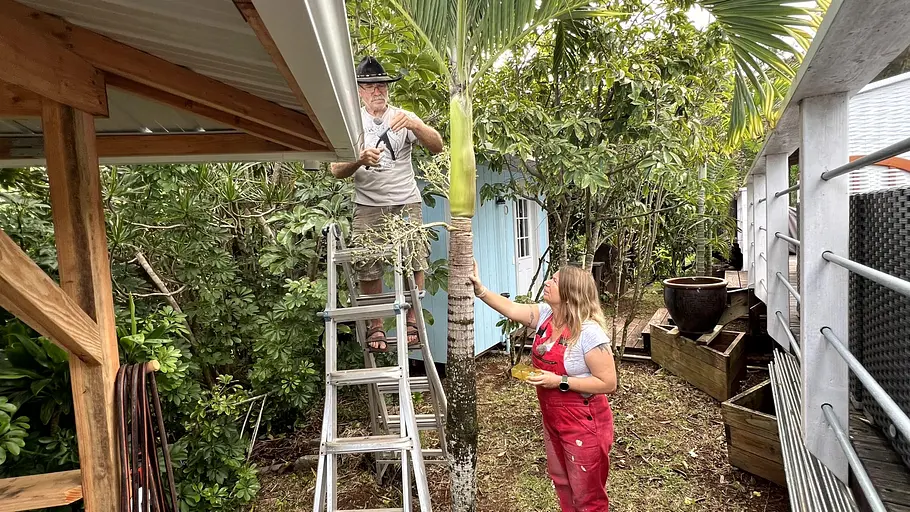 Renovierung Manu und Konny Reimann Konny Reimann und seine Manu werkeln gemeinsam im Garten.