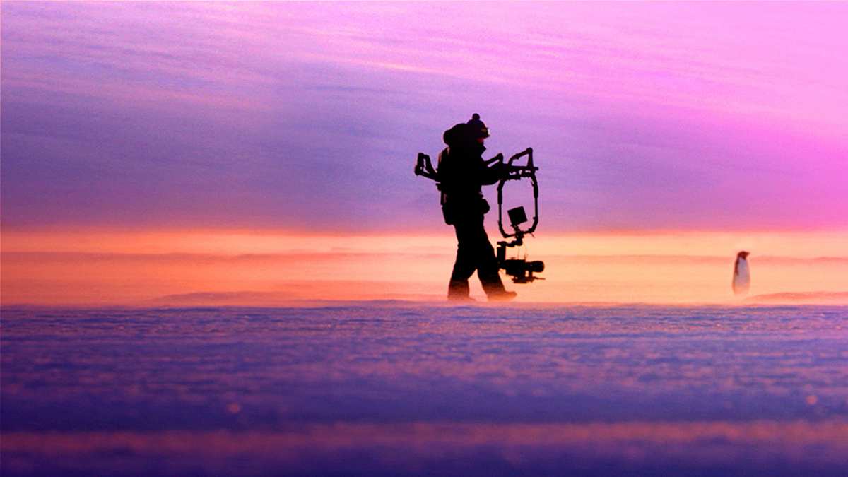 Pinguine: Leben am Limit Pinguine: Leben am Limit