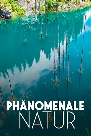 Phänomenale Natur - Foto: TMDB