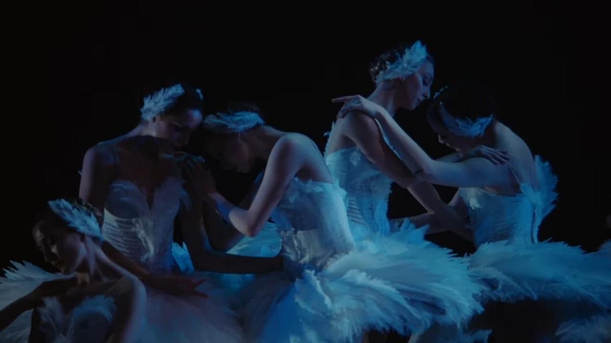 Swan Song: Ein neuer Schwanensee