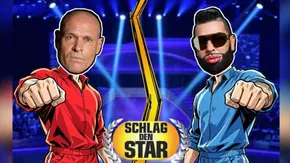 „Schlag den Star“-Logo mit Harald Glööckler und Thorsten Legat. Jetzt steht der Gewinner vom 18. April 2026 fest. - Foto: ProSieben