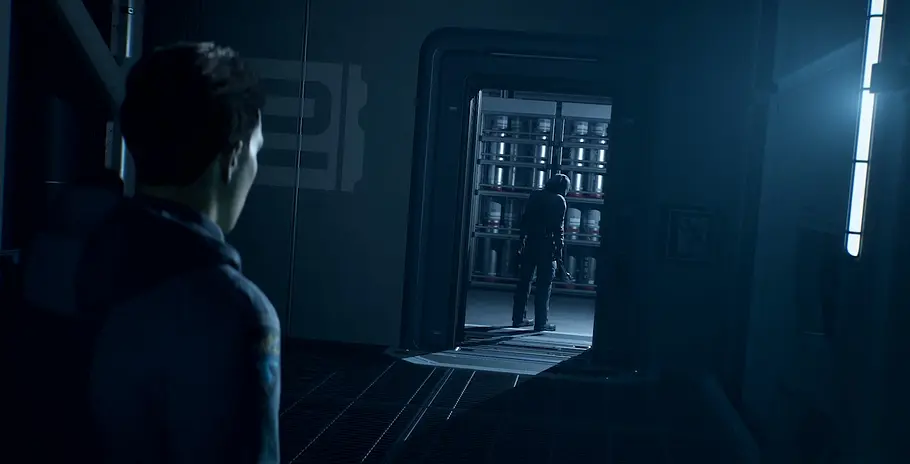Directive 8020 Stealth