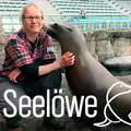 Seelöwe & Co. - tierisch beliebt Thumbnail