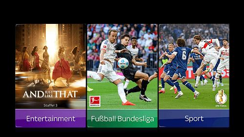 Der komplette Live-Sport