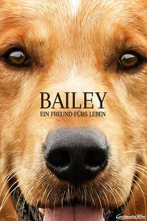 Bailey - Ein Freund fürs Leben - Foto: TMDB