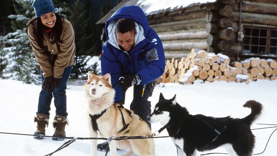 „Snow Dogs – Achtung, Schlittenhund!“
