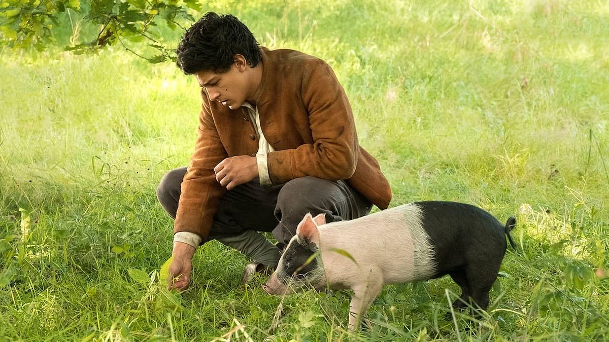 Der Schweinehirt Der Schweinehirt