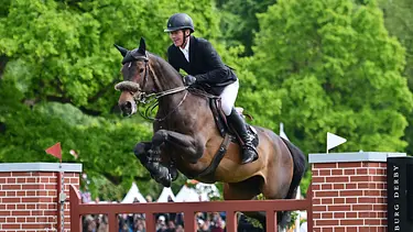 Springreiten Springreiten