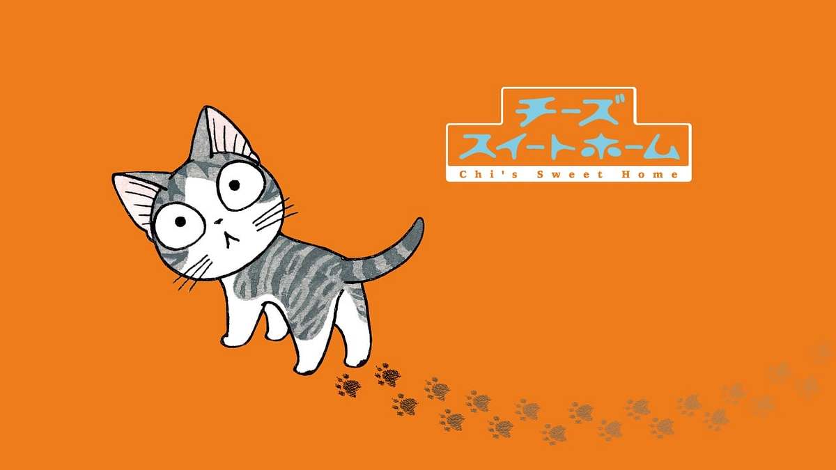 Kleine Katze Chi Kleine Katze Chi