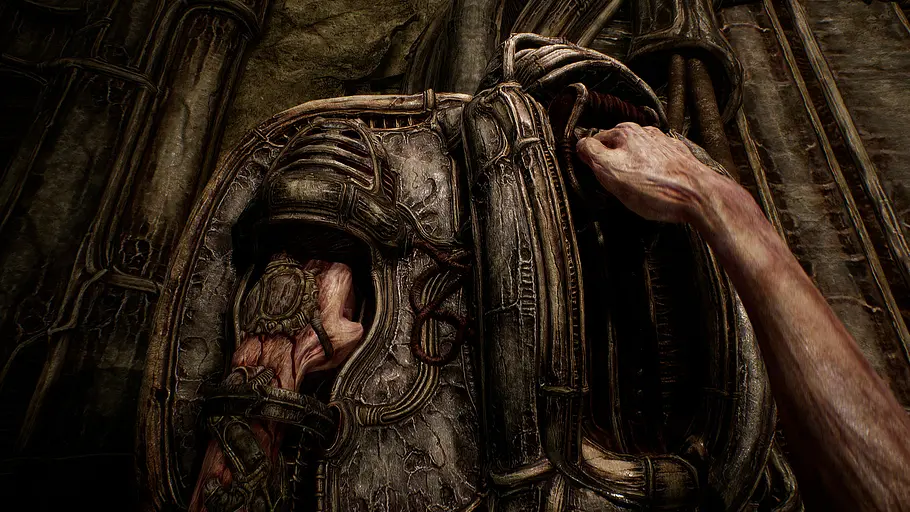 Scorn Scorn