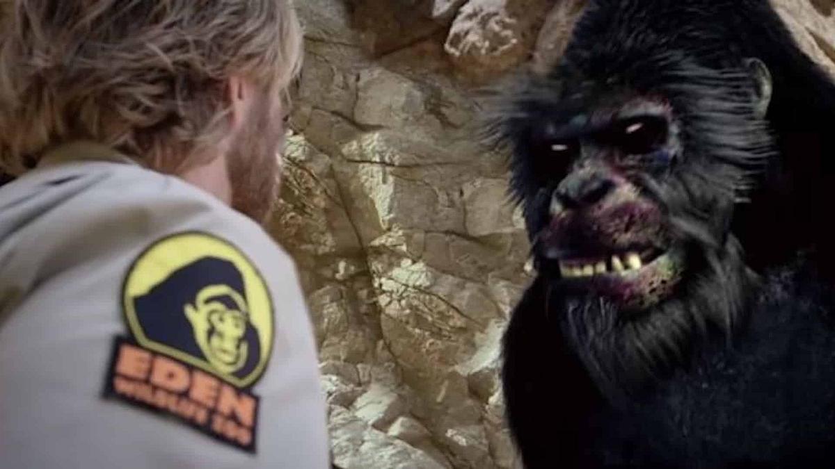 Zoombies Zoombies