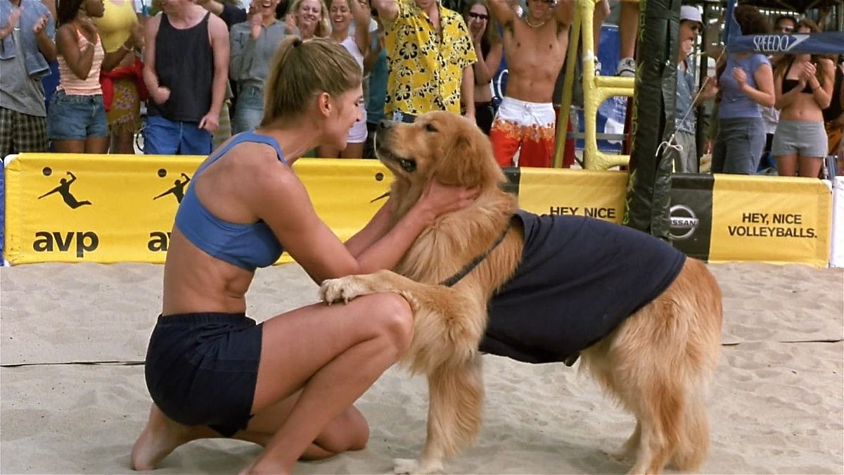 Air Bud 5 - Vier Pfoten schlagen auf Air Bud 5 - Vier Pfoten schlagen auf
