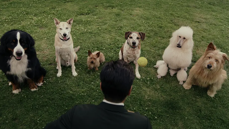 Sugars Liebe zu Hunden ist auch für Colin Farrell ein wichtiger Aspekt der Serie. Colin Farrell als Sugar vor einer Gruppe von Hunden.