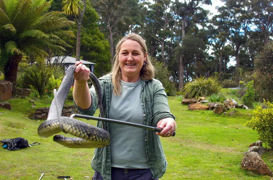 Tasmanien - Australiens grüne Insel