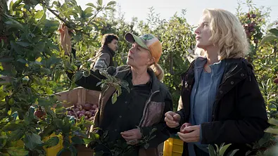 Ermittlerin Lindholm steht mit mehreren Personen auf einer Apfelplantage.  - Foto: NDR/Christine Schroeder