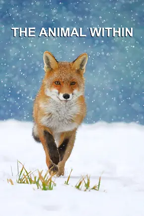 Tierische Superhelden - Foto: TMDB Tierische Superhelden - Foto: TMDB