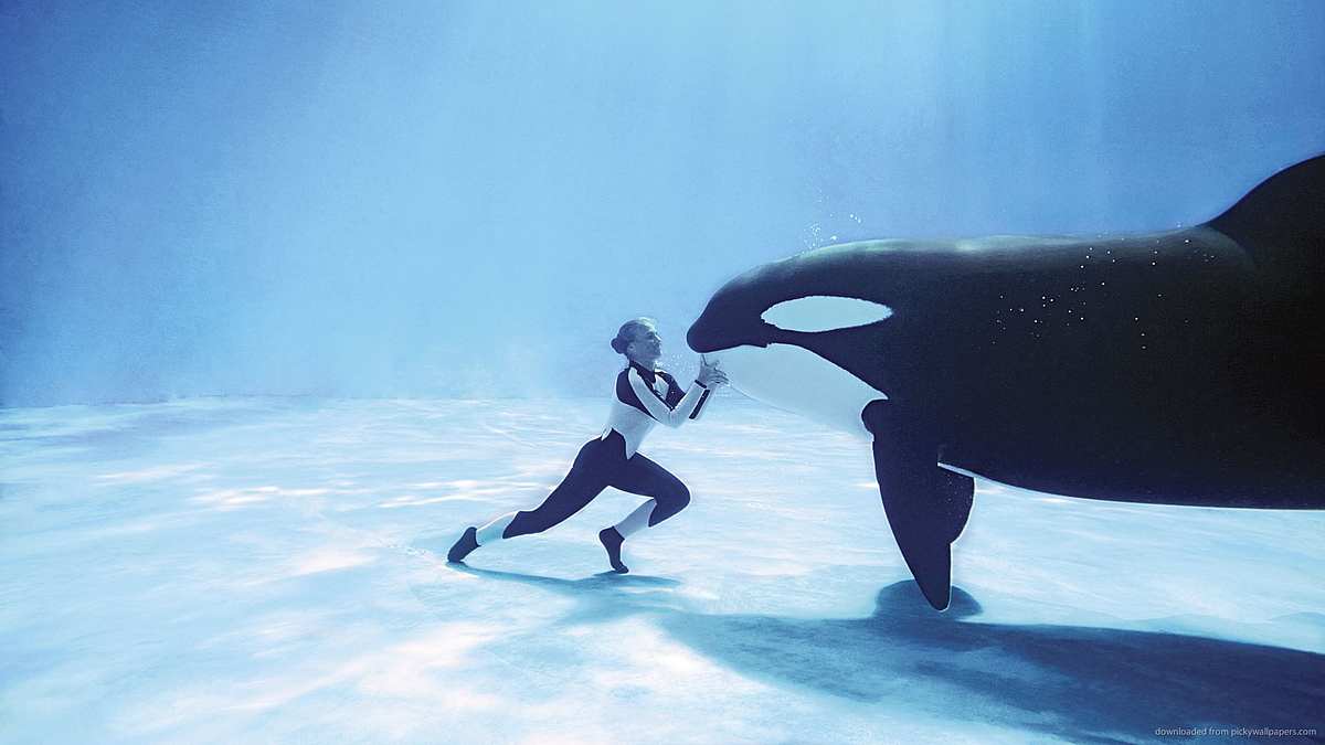 Blackfish: Der Killerwal Blackfish: Der Killerwal