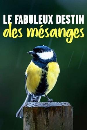 Kleine Meise ganz groß - Foto: TMDB