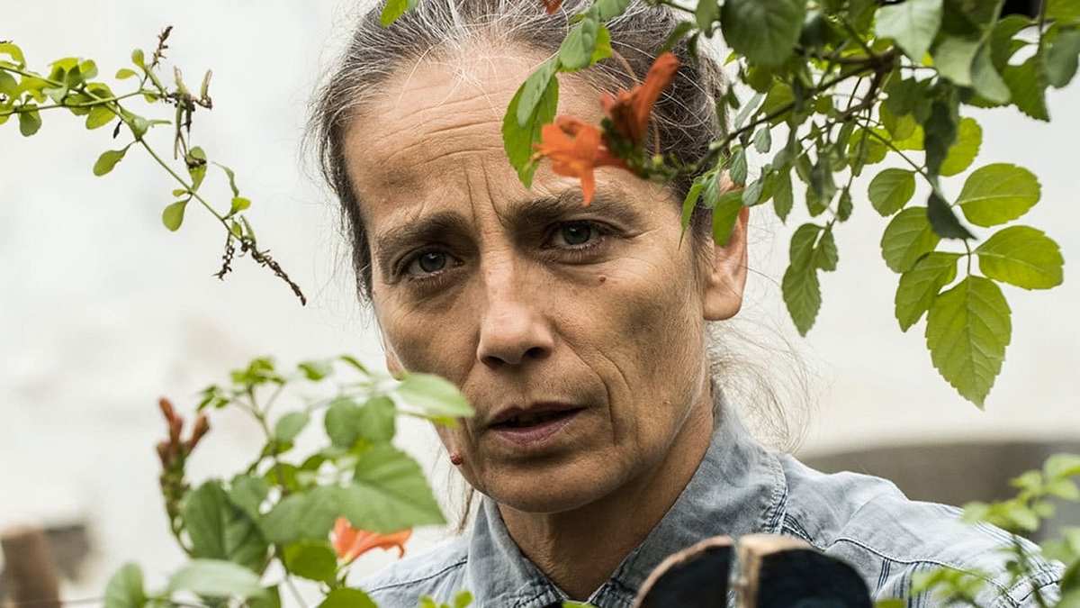 Der Eindringling Der Eindringling